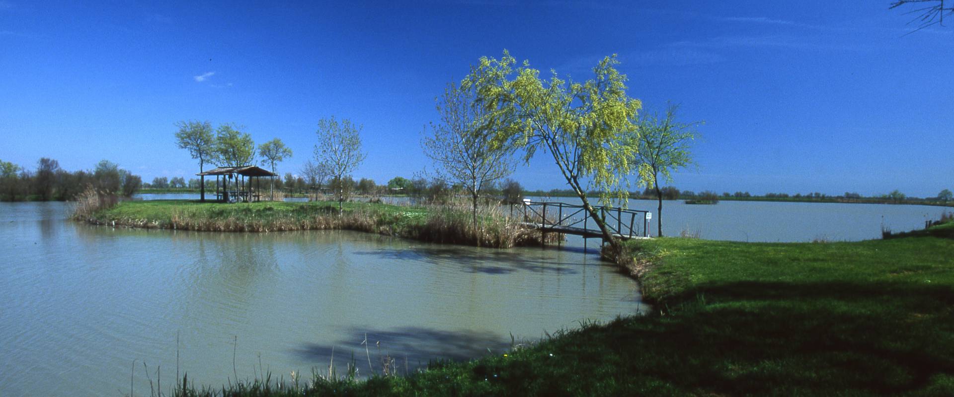 Oasi naturalistica Anse di Porto foto di Meneghetti